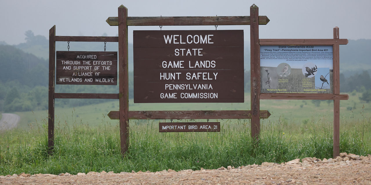 SGL Sign