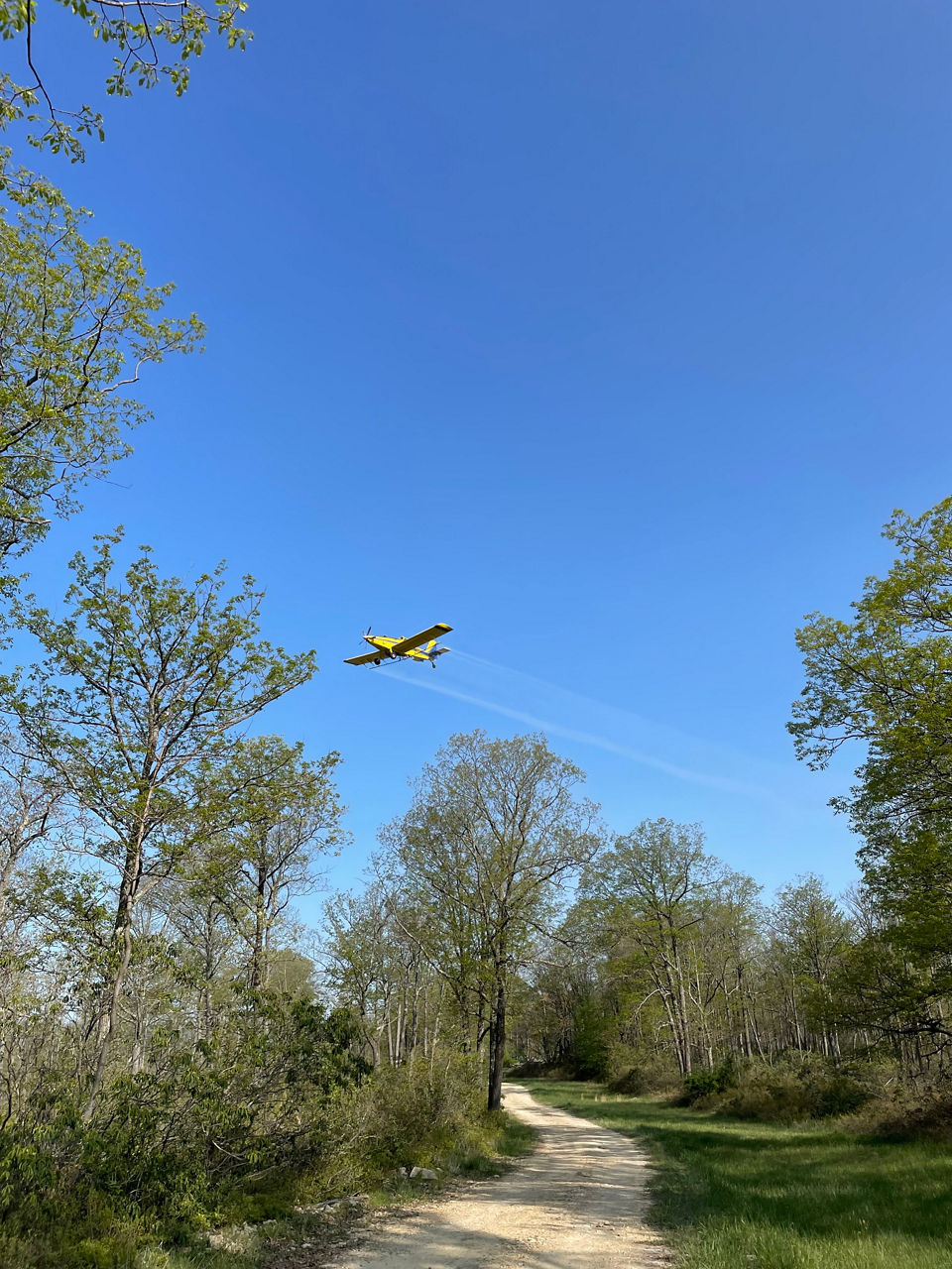 Airplane flying over forest spraying for spongy moth 