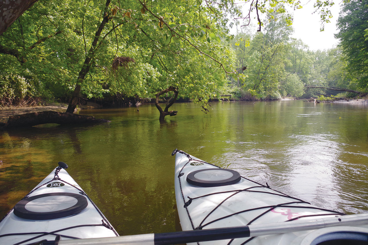 Two kayaks floating in the Shenango River under a tree on a sunny day.