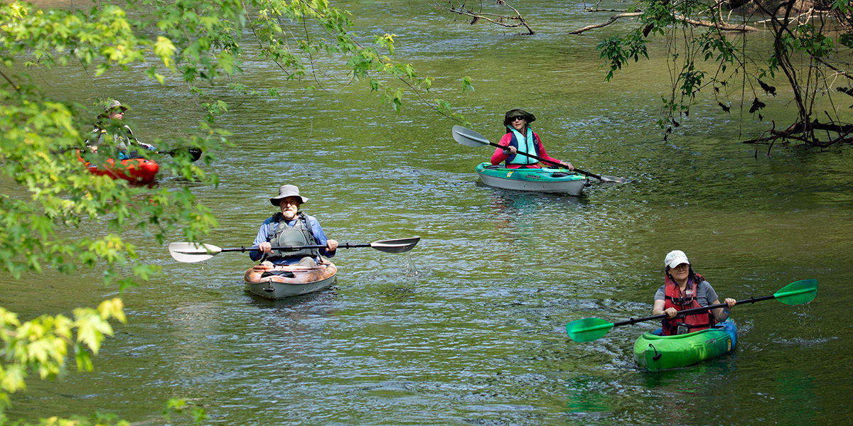 A group of people wearing life jackets in kayaks floating on the Shenango River on a sunny day.