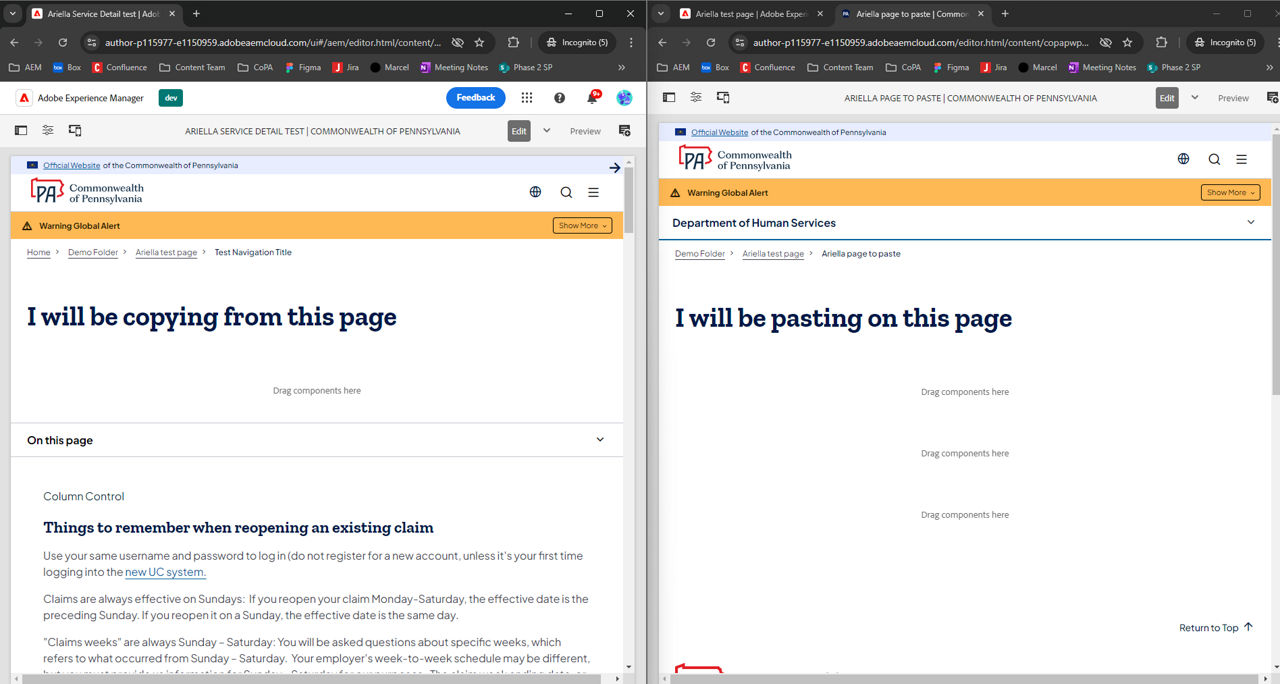 Page from which copy content, side-by-side with a page on which to paste content.