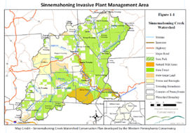 Sinnemahoning Invasive Plant Management Area (SIPMA) 