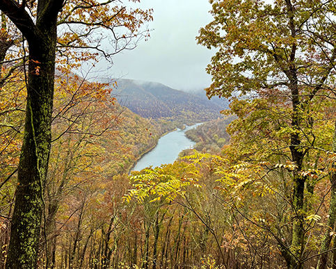 Sinnemahoning Vista in Sproul State Forest in Fall