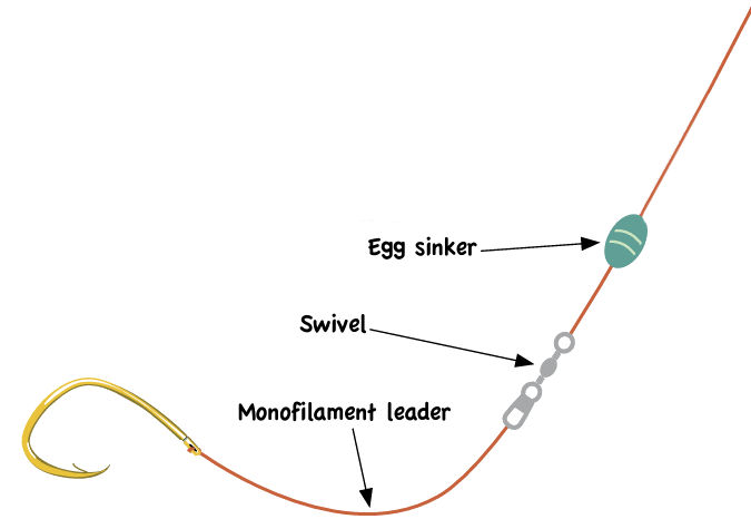 Graphic of a sliding sinker rig with a fishing line with a barbed hook connected to a monofilament leader on a swivel with an egg sinker an inch above the swivel.