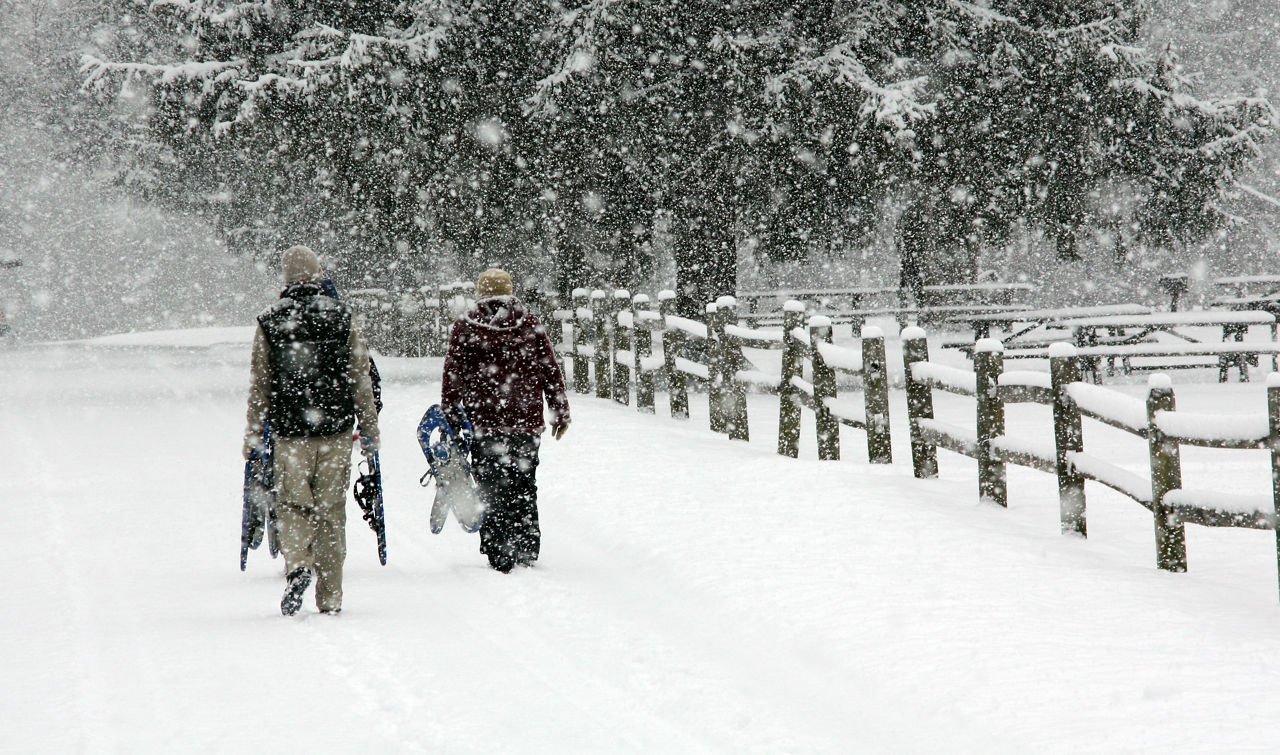 Two people carry snowshoes while walking in snow along a snowcovered fenceline.