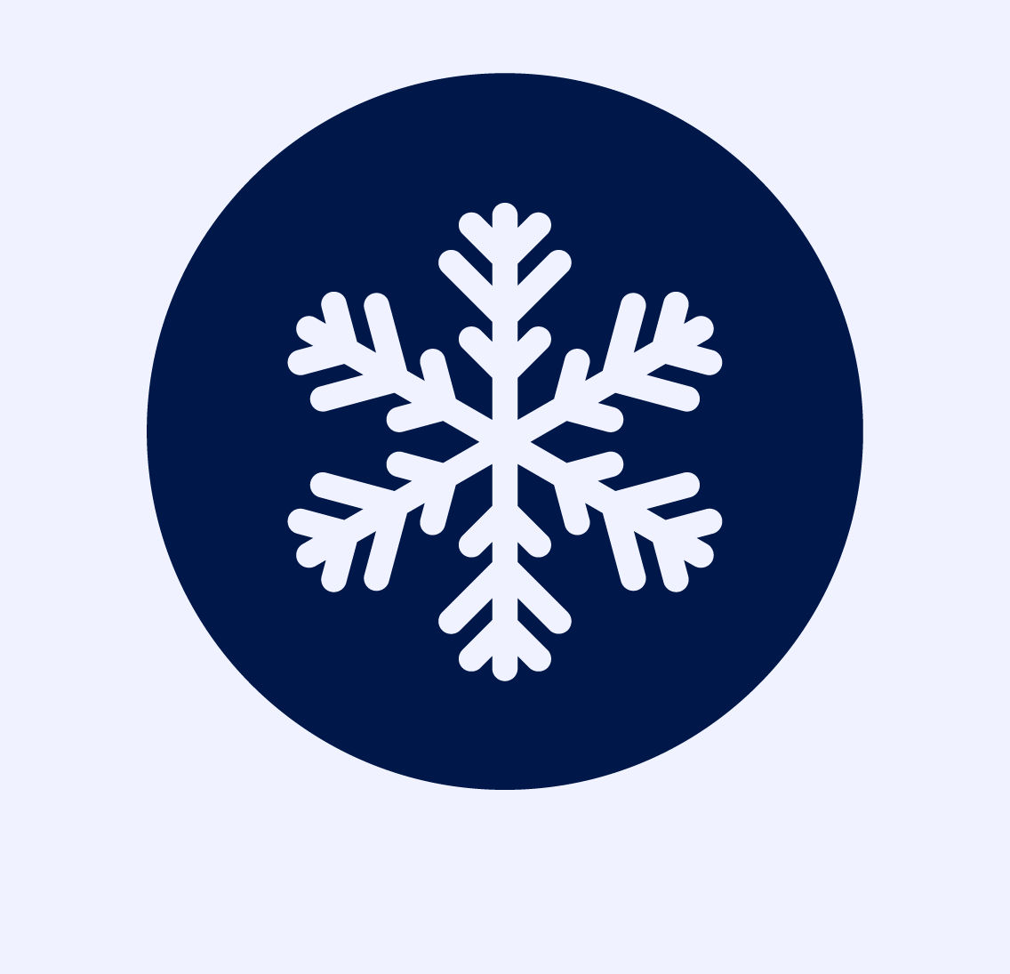 snowflake icon