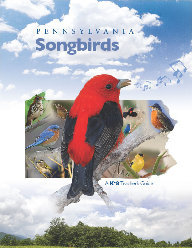 Pennsylvania Songbirds Activity Guide 