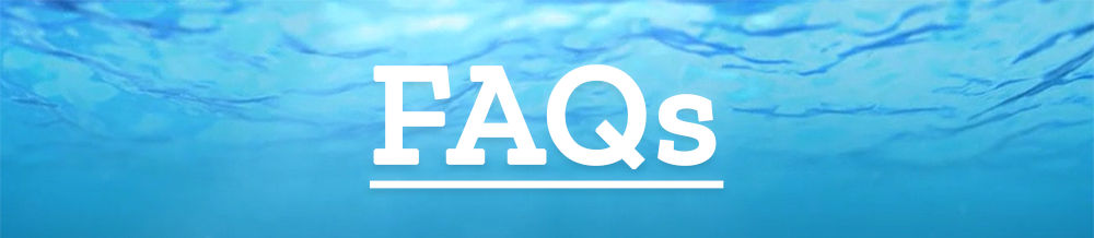SPEED FAQs Banner