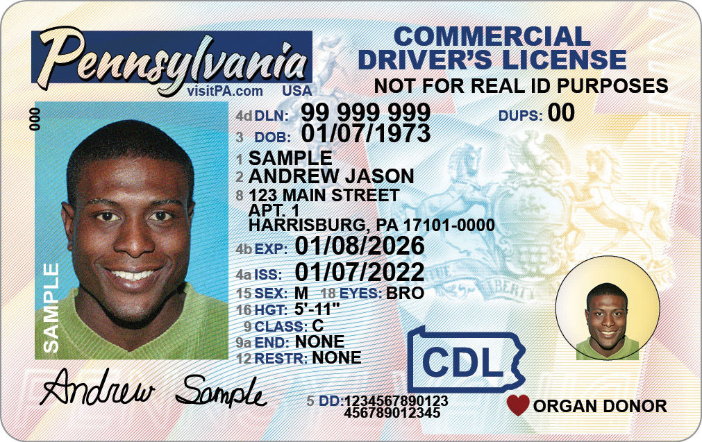 Sample  PA Commercial Driver's License with wording in the upper right corner stating "NOT FOR REAL ID PURPOSES"