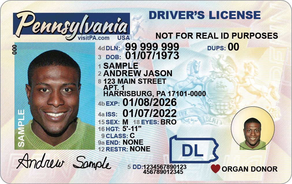 Sample PA Driver's License with wording in the upper right corner stating "NOT FOR REAL ID PURPOSES"