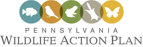 state wildlife action plan