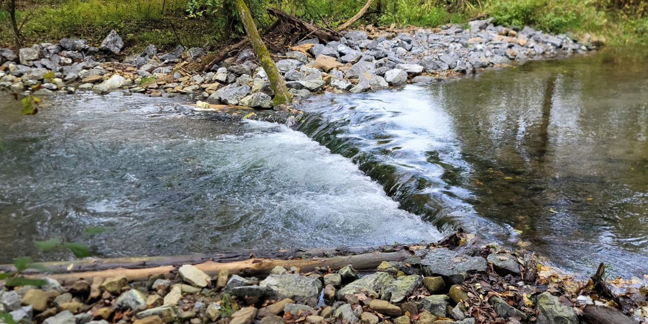 Habitat improvement installed along the streambank of Spruce Creek