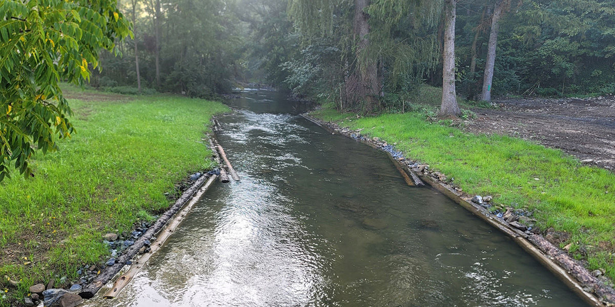 Habitat improvement installed along the streambank of Spruce Creek