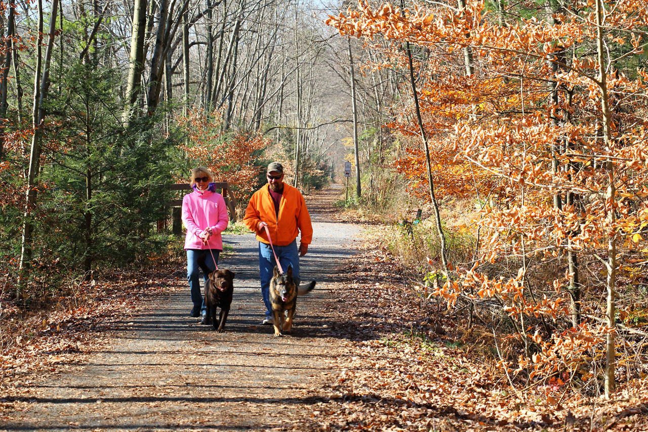 A couple walking two dogs on a gravel trail surrounded by fall foliage