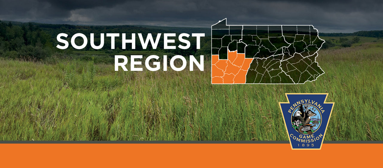 Southwest region cover photo