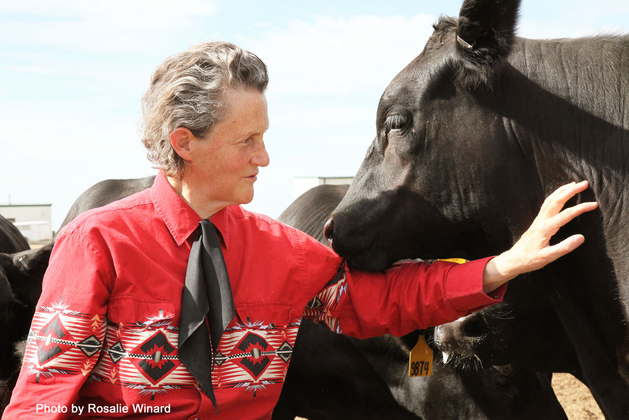 Dr. Temple Grandin