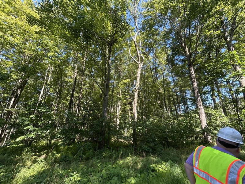 An image of six men in white hard hats and yellow safety vests standing in an open field next to a wooded area. 