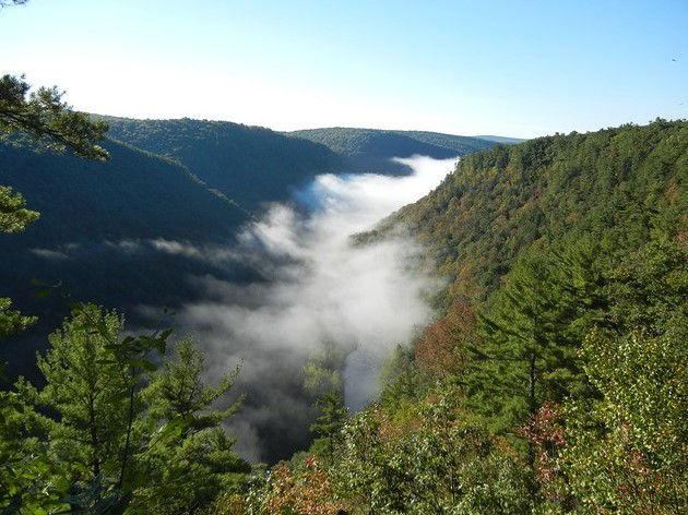 distant vista of low clouds in a forested valley