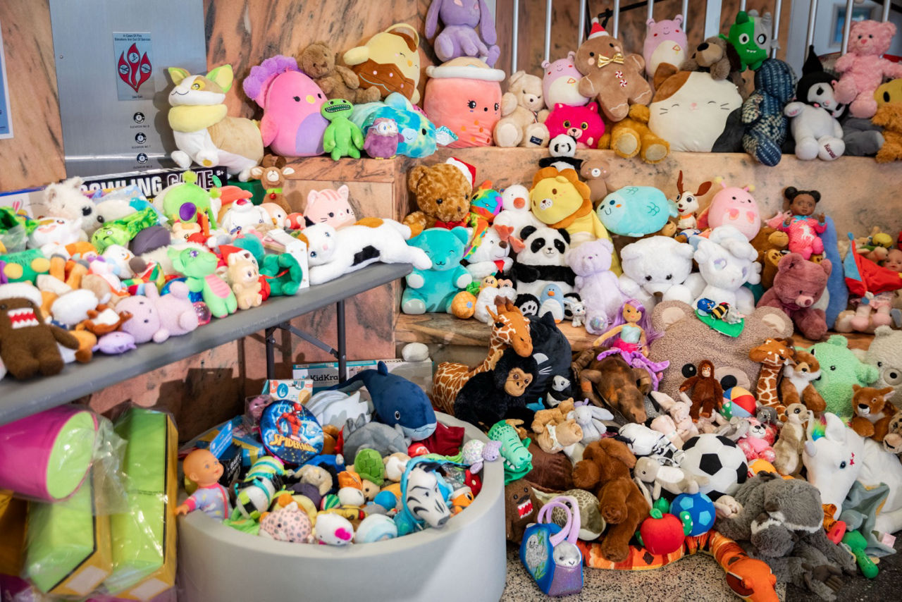 More than 1,000 toys donated to DHS’ Holiday Wish program