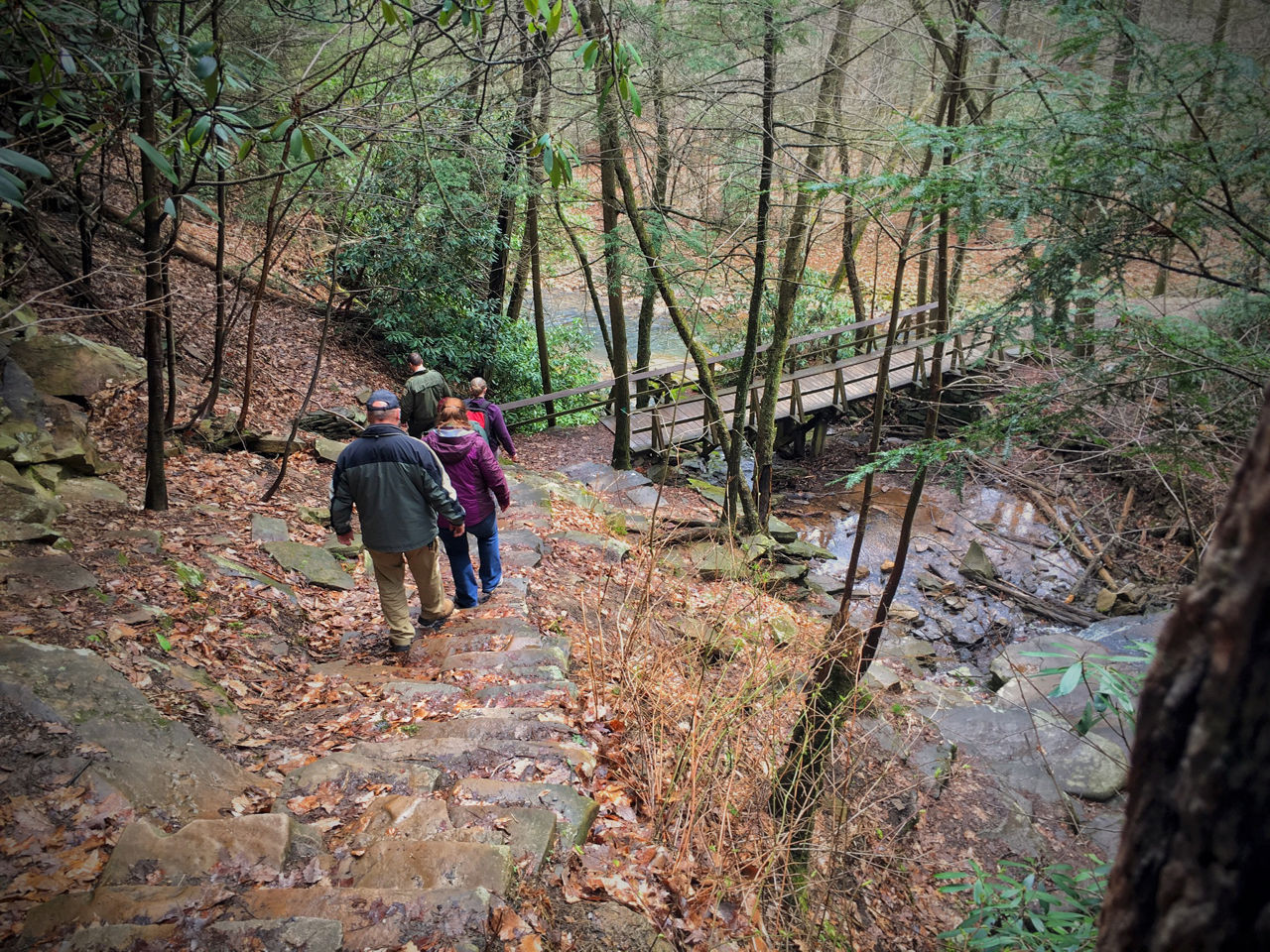 A family hiking downhill on a rocky path among fallen leaves to a wooden bridge across a creek