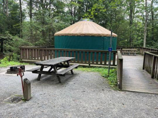 A round green canvas building with a wooden path that is surrounded by trees.