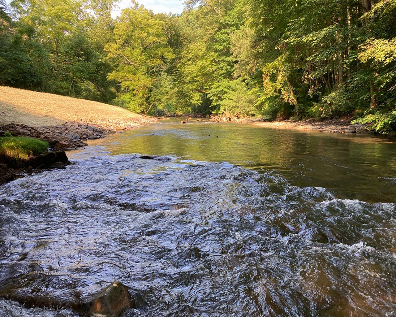 Photo of Upper Spring Creek after dam removal shown opening up stream.