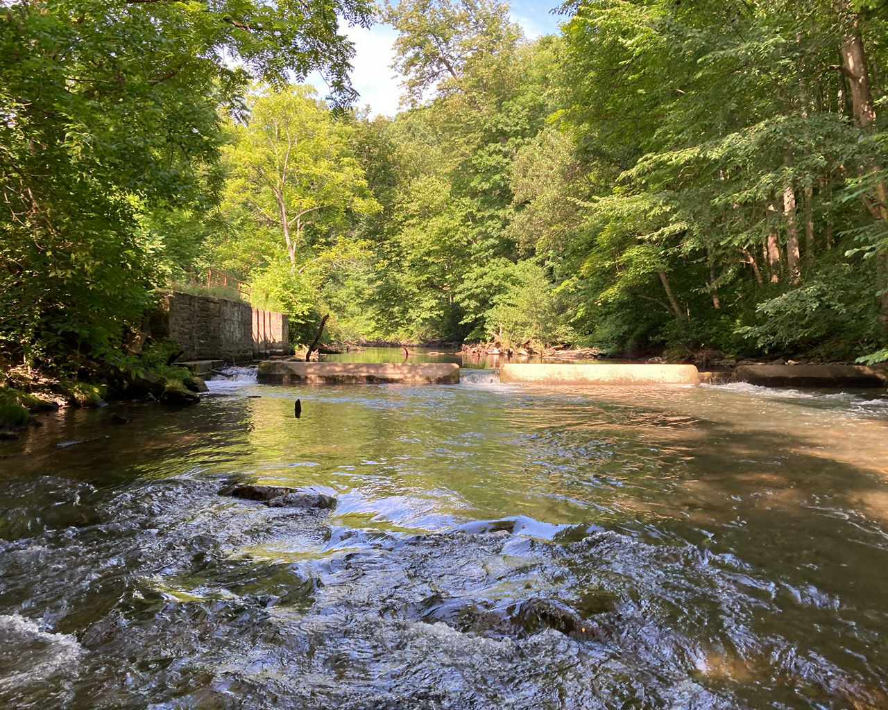 Photo Upper Spring Creek Dam with dam pictured before removal.