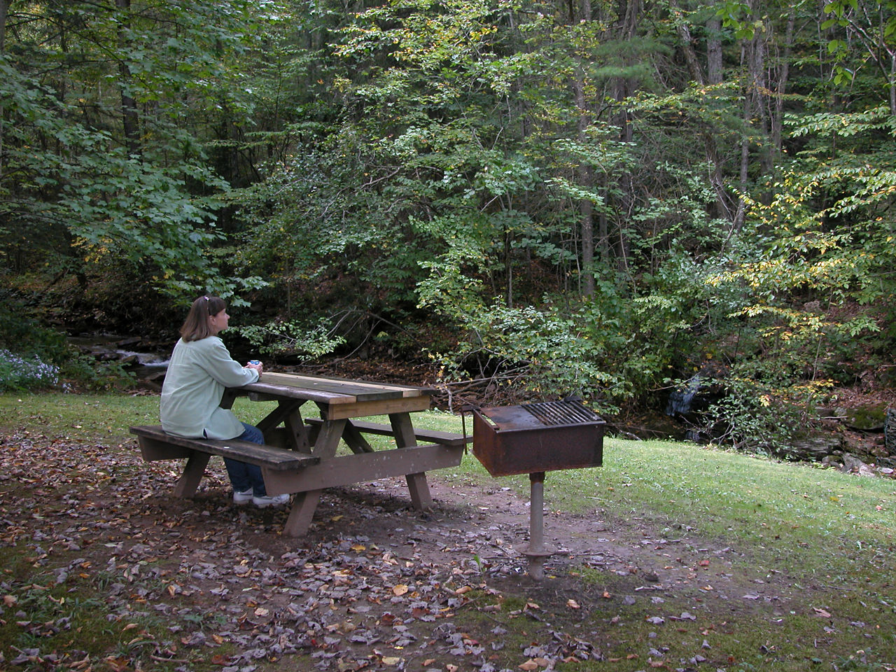 A woman sitting at a wooden picnic table looking at the forest as leaves start to change for fall