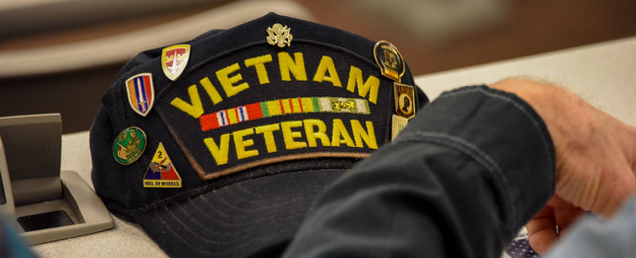 Vietnam Veteran Hat with Pins