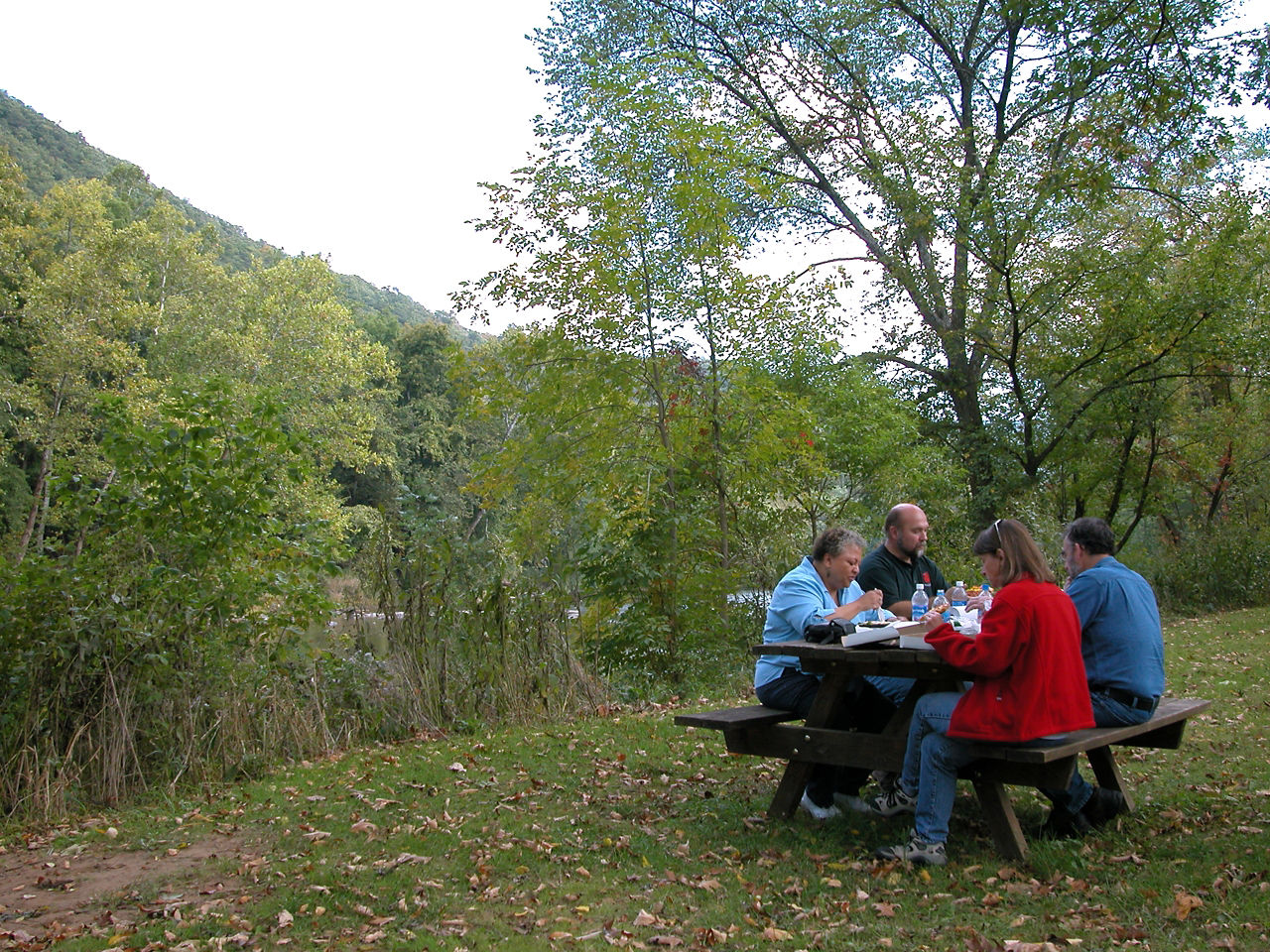 Four people are picnicking at a wooden picnic table in the fall with a forest in the background