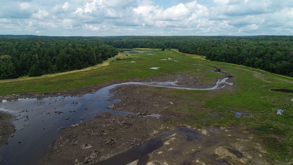 WildlandsConservancy