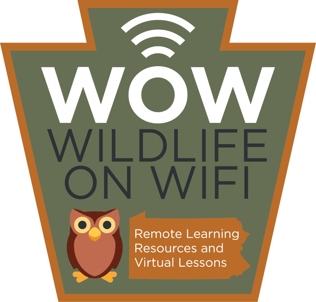 Wildlife on WiFi logo