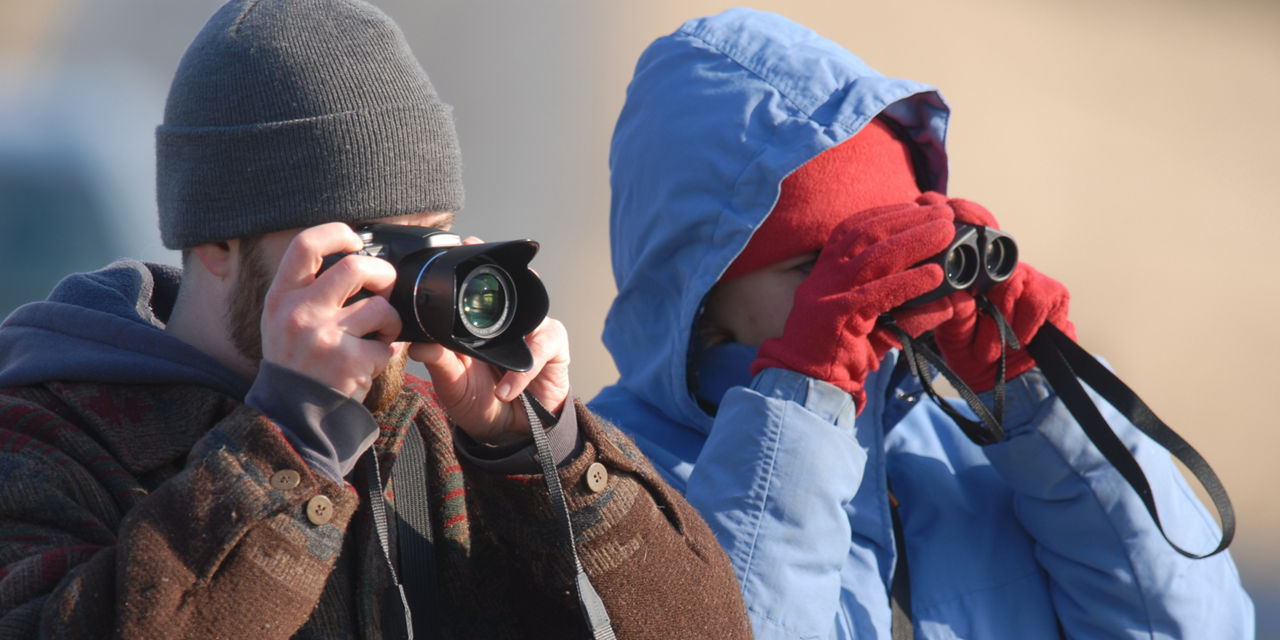 Wildlife viewers