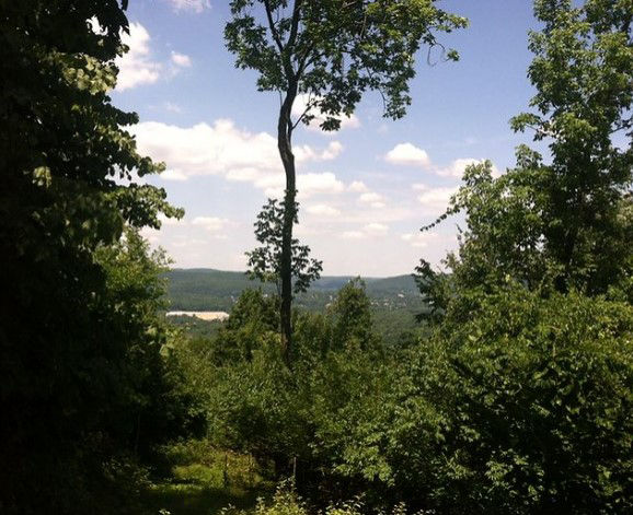 a view of a partly cloudy sky and distant mountain framed by dark green trees