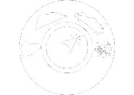 STANDARD TERRAIN MANAGEMENT MODES
