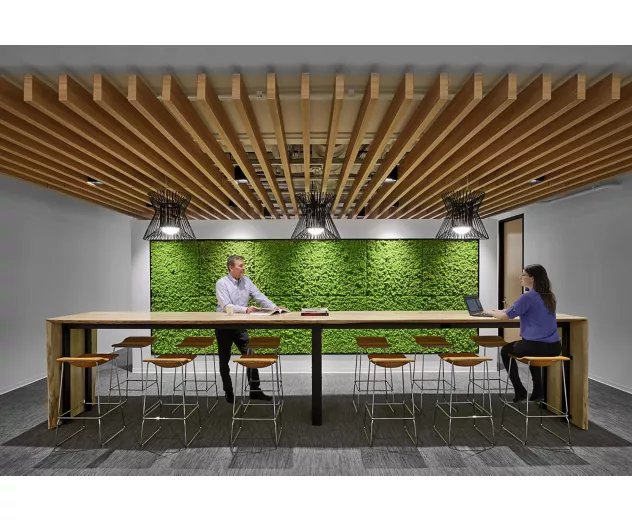 USG - Ceilings Plus🅫 Design Solutions - Barz🅫 - USG Ceilings Plus® Design Solutions-Barz® | B206008 - 71% Open, Finish: Sarante® Red Birch | Architect: Archideas, Photo: ©Eric Laignel