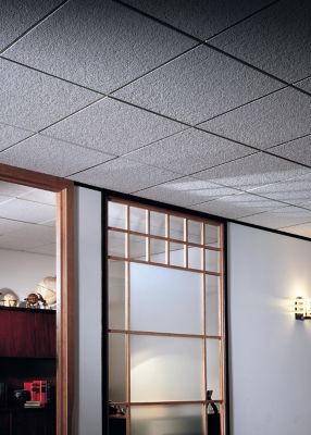 Eclipse™ Illusion™ Acoustical Panels | Drop Ceiling Panel | CGC