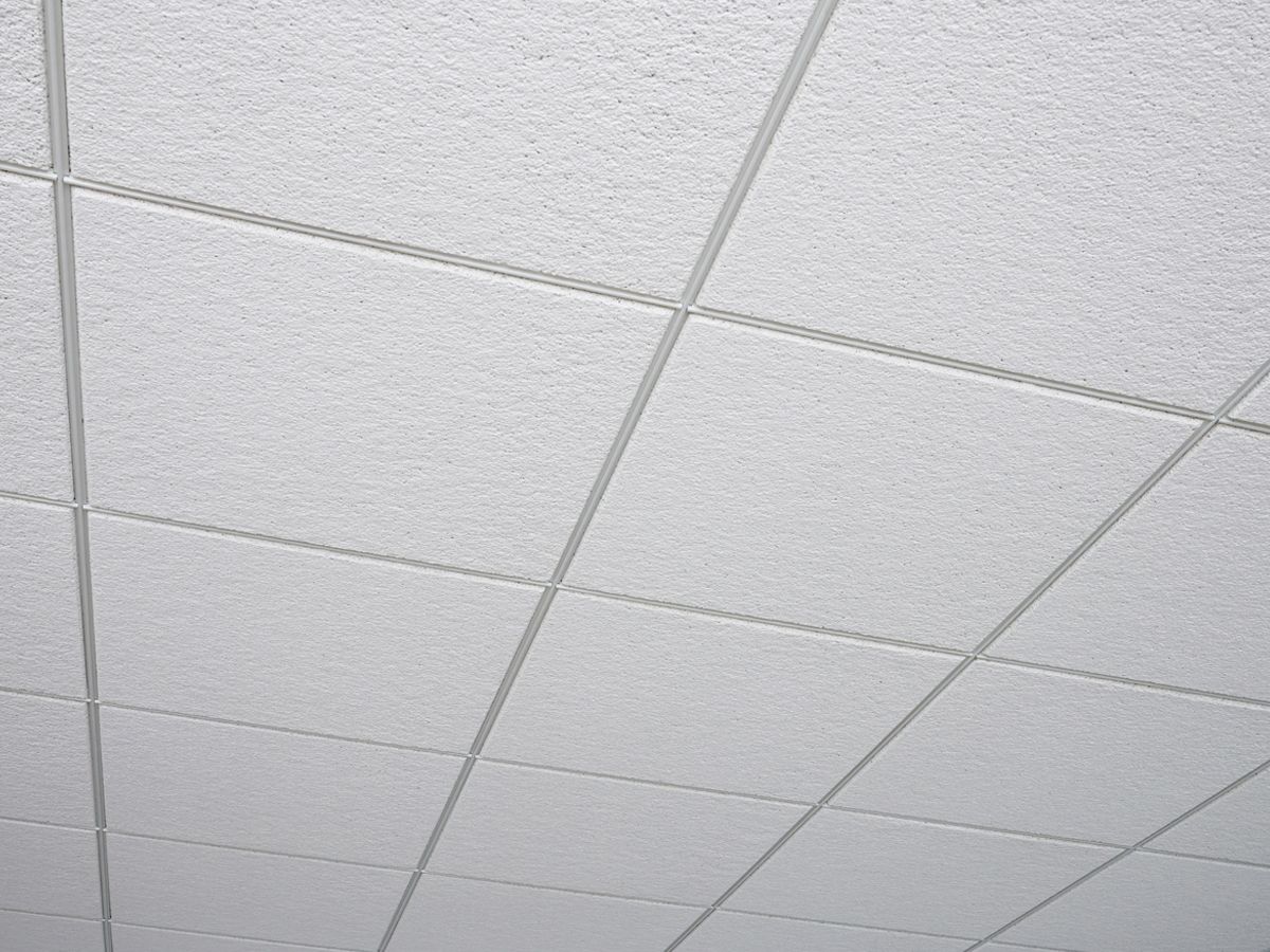 Frost™ Durable Acoustical Ceiling Panels | Acoustical Ceiling Tiles | USG, image size:1200x900