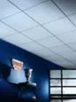 Frost™ Basic Firecode® High Noise Reduction Acoustical Ceiling Panels ...