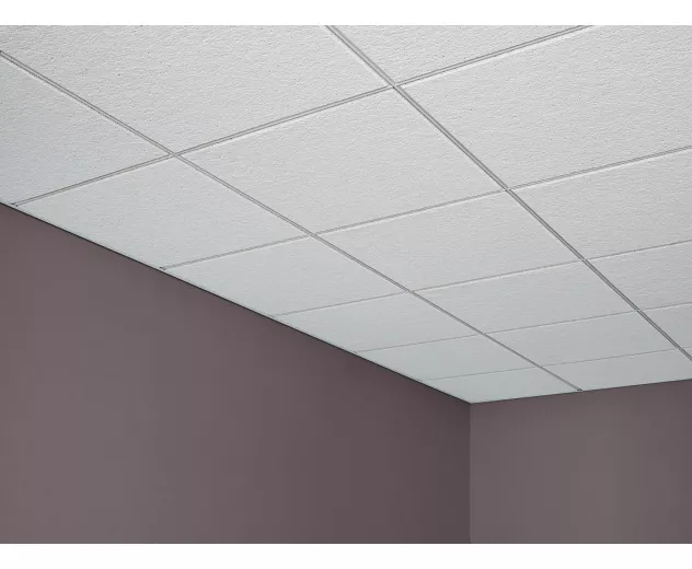 Frost™ High-LR Durable Acoustical Ceiling Panels | Acoustical Ceiling ...