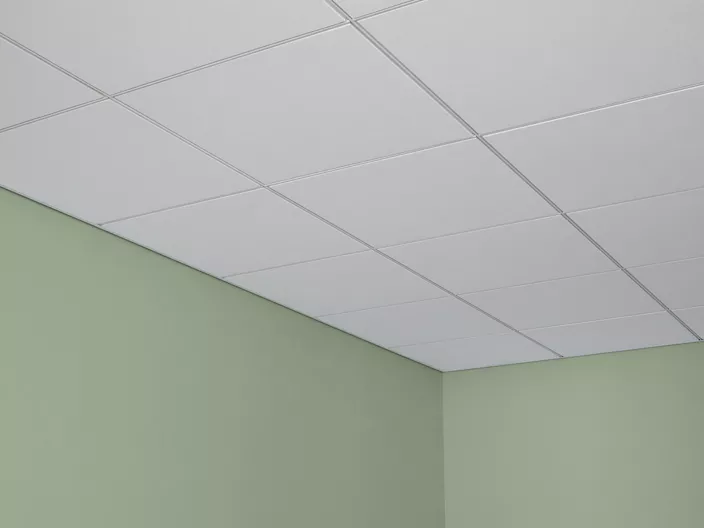 USG Halcyon™ Acoustical Panels with ClimaPlus™ Performance, and USG Donn® Brand Identitee® DXI™ Acoustical Suspension System