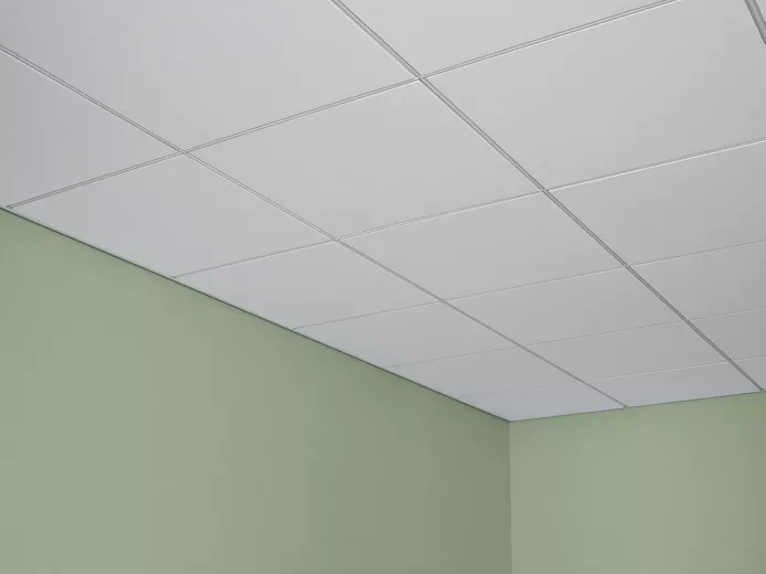 Halcyon™ Acoustical Ceiling Panels | USG