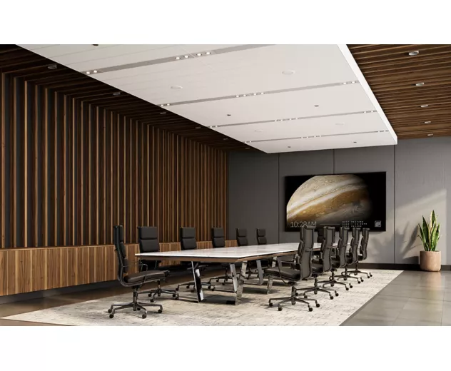 USG - Juno™ Acoustical Panels