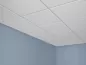 USG - Mars™ Healthcare Cleanroom Acoustical Panels - USG Mars? Healthcare Clean Room Acoustical Panels with ClimaPlus? Performance, and USG Donn® Brand DX® Acoustical Suspension System