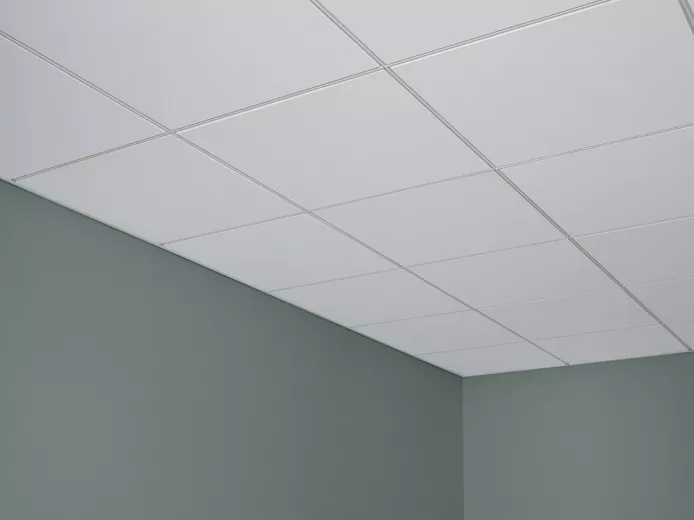 Orion™ 60 Acoustical Panels | USG