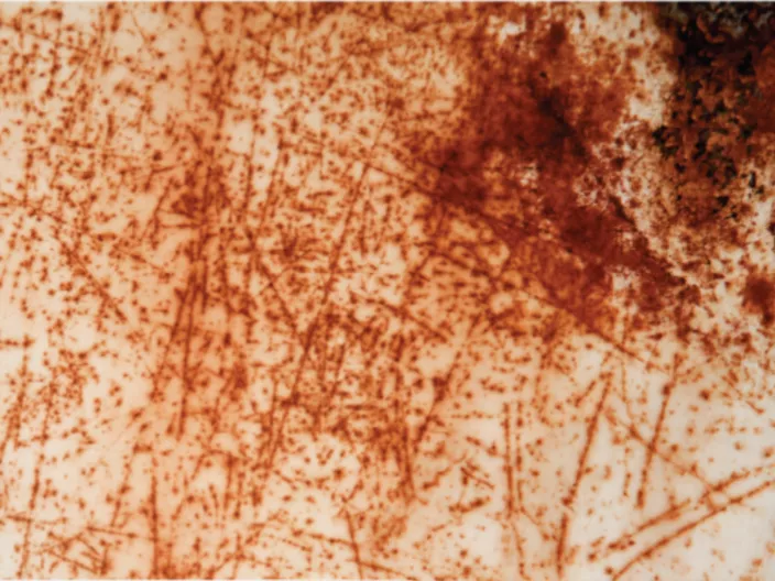 Blog Image - MgO Panels - 1