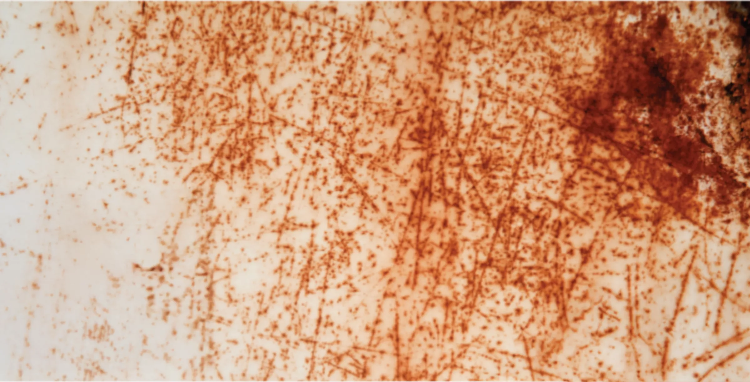 Blog Image - MgO Panels - 1