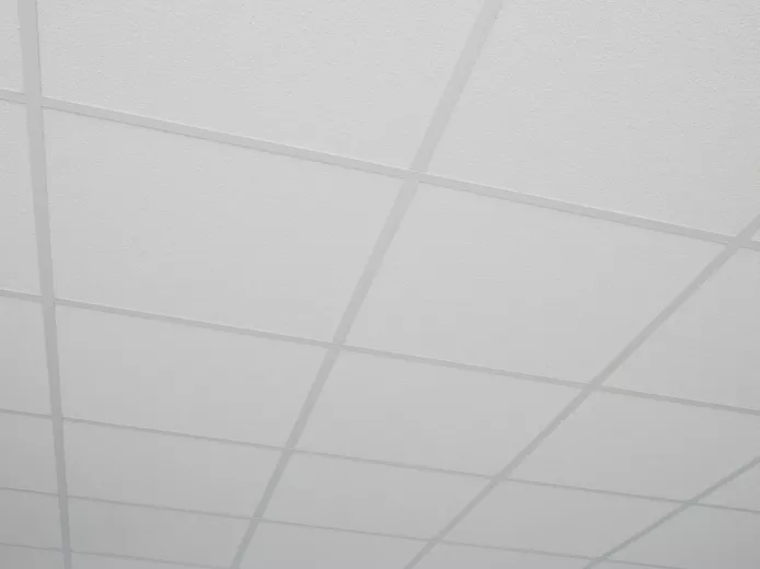 Premier Nubby™ Acoustical Panels | Fine Textured Ceiling Panels | CGC