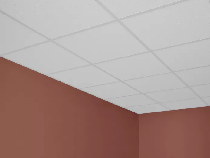 Premier Nubby™ Acoustical Panels | Fine Textured Ceiling Panels | CGC