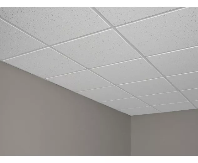 USG - Radar™ Acoustical Panels - Retail - USG Radar? Acoustical Panels with ClimaPlus? Performance, and USG Donn® Brand DX® Acoustical Suspension System